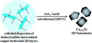 Graphical abstract: Synthesis and thermoelectric behaviour of copper telluride nanosheets
