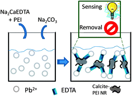 Graphical abstract: Multifunctional system based on hybrid nanostructured rod formation, for sensoremoval applications of Pb2+ as a model toxic metal