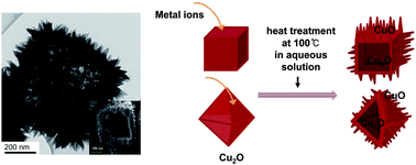 Graphical abstract: Metal ion-assisted reshaping of Cu2O nanocrystals for catalytic applications