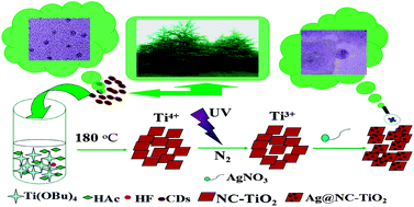 Graphical abstract: Natural leaves-assisted synthesis of nitrogen-doped, carbon-rich nanodots-sensitized, Ag-loaded anatase TiO2 square nanosheets with dominant {001} facets and their enhanced catalytic applications