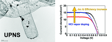 Graphical abstract: Ultrathin polypyrrole nanosheets doped with HCl as counter electrodes in dye-sensitized solar cells