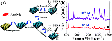 Graphical abstract: Multi-hot spot configuration on urchin-like Ag nanoparticle/ZnO hollow nanosphere arrays for highly sensitive SERS