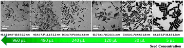 Graphical abstract: Seedless synthesis of high aspect ratio gold nanorods with high yield