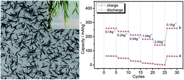 Graphical abstract: Retracted Article: Black mesoporous anatase TiO2 nanoleaves: a high capacity and high rate anode for aqueous Al-ion batteries