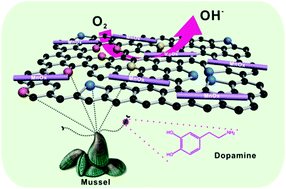 Graphical abstract: Mussel-inspired nitrogen-doped graphene nanosheet supported manganese oxide nanowires as highly efficient electrocatalysts for oxygen reduction reaction