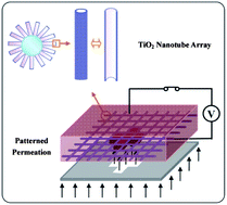 Graphical abstract: Patterned liquid permeation through the TiO2 nanotube array coated Ti mesh by photoelectric cooperation for liquid printing