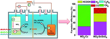 Graphical abstract: A versatile photoanode-driven photoelectrochemical system for conversion of CO2 to fuels with high faradaic efficiencies at low bias potentials