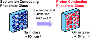 Graphical abstract: Electrochemical substitution of sodium ions with protons in phosphate glass to fabricate pure proton conducting glass at intermediate temperatures