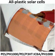 Graphical abstract: All-plastic solar cells with a high photovoltaic dynamic range