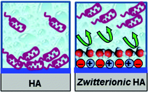 Graphical abstract: Design and preparation of biocompatible zwitterionic hydroxyapatite