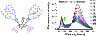 Graphical abstract: Highly water-soluble BODIPY-based fluorescent probes for sensitive fluorescent sensing of zinc(ii)