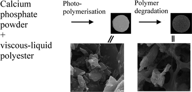 Graphical abstract: The effect of a photopolymerizable poly(ε-caprolactone-co-glycolide) matrix on the cement reactions of tetracalcium phosphate and tetracalcium phosphate–monocalcium phosphate monohydrate mixtures