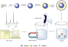 Graphical abstract: Magnetic nanoparticles coated with immobilized alkaline phosphatase for enzymolysis and enzyme inhibition assays