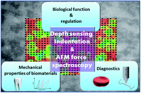 Graphical abstract: Mapping the mechanical properties of biomaterials on different length scales: depth-sensing indentation and AFM based nanoindentation