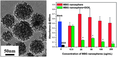 Graphical abstract: Functional mesoporous bioactive glass nanospheres: synthesis, high loading efficiency, controllable delivery of doxorubicin and inhibitory effect on bone cancer cells