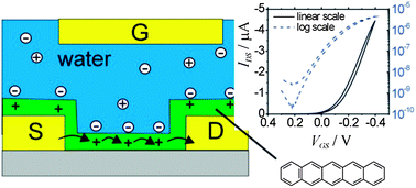 Graphical abstract: Water-gated organic field effect transistors – opportunities for biochemical sensing and extracellular signal transduction