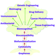 Graphical abstract: Recent advancements of graphene in biomedicine