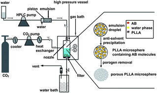 Graphical abstract: Generation of porous poly-l-lactide microspheres by emulsion-combined precipitation with a compressed CO2 antisolvent process