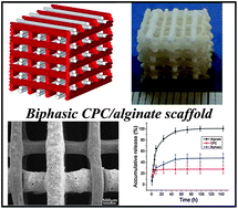 Graphical abstract: Well-ordered biphasic calcium phosphate–alginate scaffolds fabricated by multi-channel 3D plotting under mild conditions
