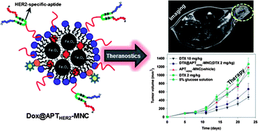 Graphical abstract: HER2-specific aptide conjugated magneto-nanoclusters for potential breast cancer imaging and therapy