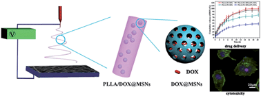 Graphical abstract: Doxorubicin-loaded electrospun poly(l-lactic acid)/mesoporous silica nanoparticles composite nanofibers for potential postsurgical cancer treatment