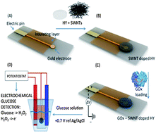 Graphical abstract: Biosensing with electroconductive biomimetic soft materials