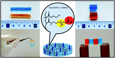 Graphical abstract: Novel antifouling self-healing poly(carboxybetaine methacrylamide-co-HEMA) nanocomposite hydrogels with superior mechanical properties