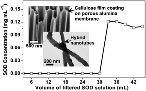 Graphical abstract: Ultrathin cellulose film coating of porous alumina membranes for adsorption of superoxide dismutase