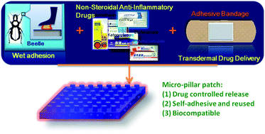 Graphical abstract: Auto-adhesive transdermal drug delivery patches using beetle inspired micropillar structures