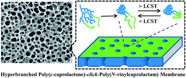 Graphical abstract: Hyperbranched polycaprolactone-click-poly(N-vinylcaprolactam) amphiphilic copolymers and their applications as temperature-responsive membranes