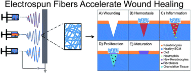 Graphical abstract: Designing electrospun nanofiber mats to promote wound healing – a review