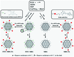Graphical abstract: Preparation, characterization, and in vitro evaluation of folate-modified mesoporous bioactive glass for targeted anticancer drug carriers