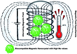 Graphical abstract: Large scale production of biocompatible magnetite nanocrystals with high saturation magnetization values through green aqueous synthesis