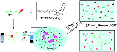 Graphical abstract: Prodrugs forming multifunctional supramolecular hydrogels for dual cancer drug delivery
