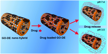 Graphical abstract: Graphene oxide decorated diatom silica particles as new nano-hybrids: towards smart natural drug microcarriers