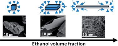 Graphical abstract: Dimensionally and compositionally controlled growth of calcium phosphate nanowires for bone tissue regeneration