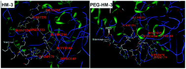 Graphical abstract: PEGylated HM-3 presents anti-rheumatic bioactivity by inhibiting angiogenesis and inflammation