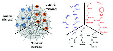 Graphical abstract: Thermoresponsive copolymer microgels
