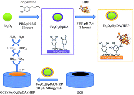 Graphical abstract: Preparation of core–shell Fe3O4@poly(dopamine) magnetic nanoparticles for biosensor construction