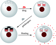 Graphical abstract: Heat-triggered drug release systems based on mesoporous silica nanoparticles filled with a maghemite core and phase-change molecules as gatekeepers