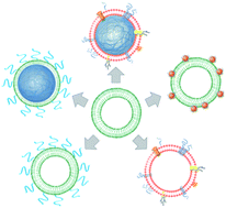 Graphical abstract: Liposome-like nanostructures for drug delivery