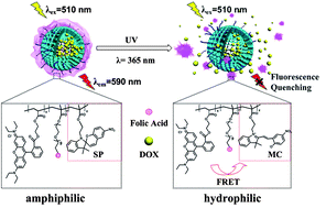 Graphical abstract: Light-responsive amphiphilic copolymer coated nanoparticles as nanocarriers and real-time monitors for controlled drug release