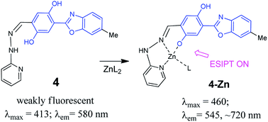 Graphical abstract: A selective NIR-emitting zinc sensor by using Schiff base binding to turn-on excited-state intramolecular proton transfer