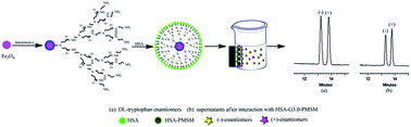 Graphical abstract: Immobilization of HSA on polyamidoamine-dendronized magnetic microspheres for application in direct chiral separation of racemates