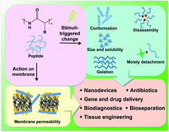 Graphical abstract: Synthetically designed peptide-based biomaterials with stimuli-responsive and membrane-active properties for biomedical applications