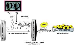 Graphical abstract: Development of an efficient immobilization matrix based on a conducting polymer and functionalized multiwall carbon nanotubes: synthesis and its application to ethanol biosensors