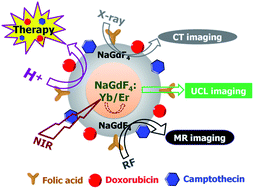 Graphical abstract: Engineered design of theranostic upconversion nanoparticles for tri-modal upconversion luminescence/magnetic resonance/X-ray computed tomography imaging and targeted delivery of combined anticancer drugs