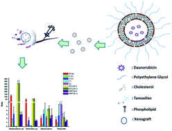 Graphical abstract: Tamoxifen embedded in lipid bilayer improves the oncotarget of liposomal daunorubicin in vivo