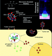 Graphical abstract: Swarming carbon dots for folic acid mediated delivery of doxorubicin and biological imaging