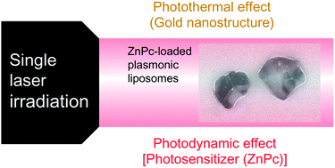 Graphical abstract: Plasmonic liposomes for synergistic photodynamic and photothermal therapy
